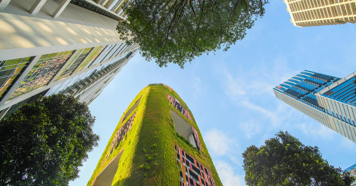 green buildings in a skyline