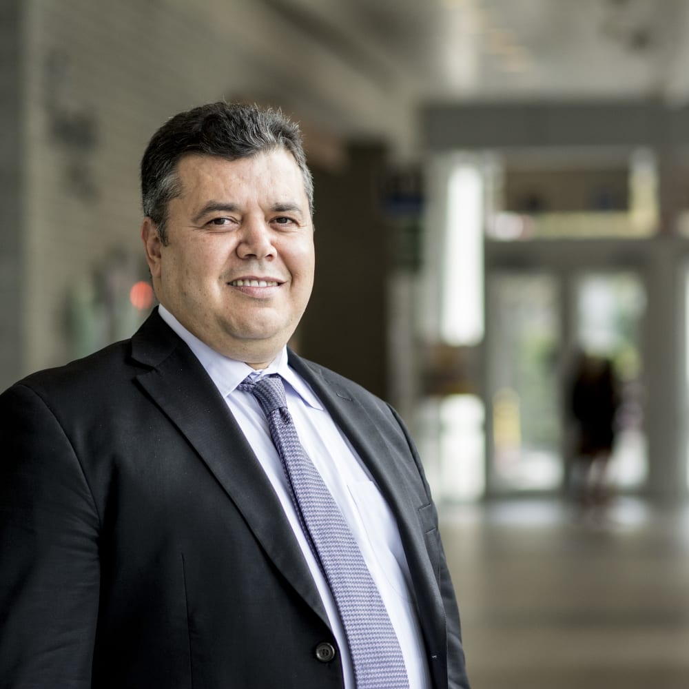 Professor Walid Ben-Amar
