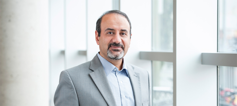Bijan Raahemi