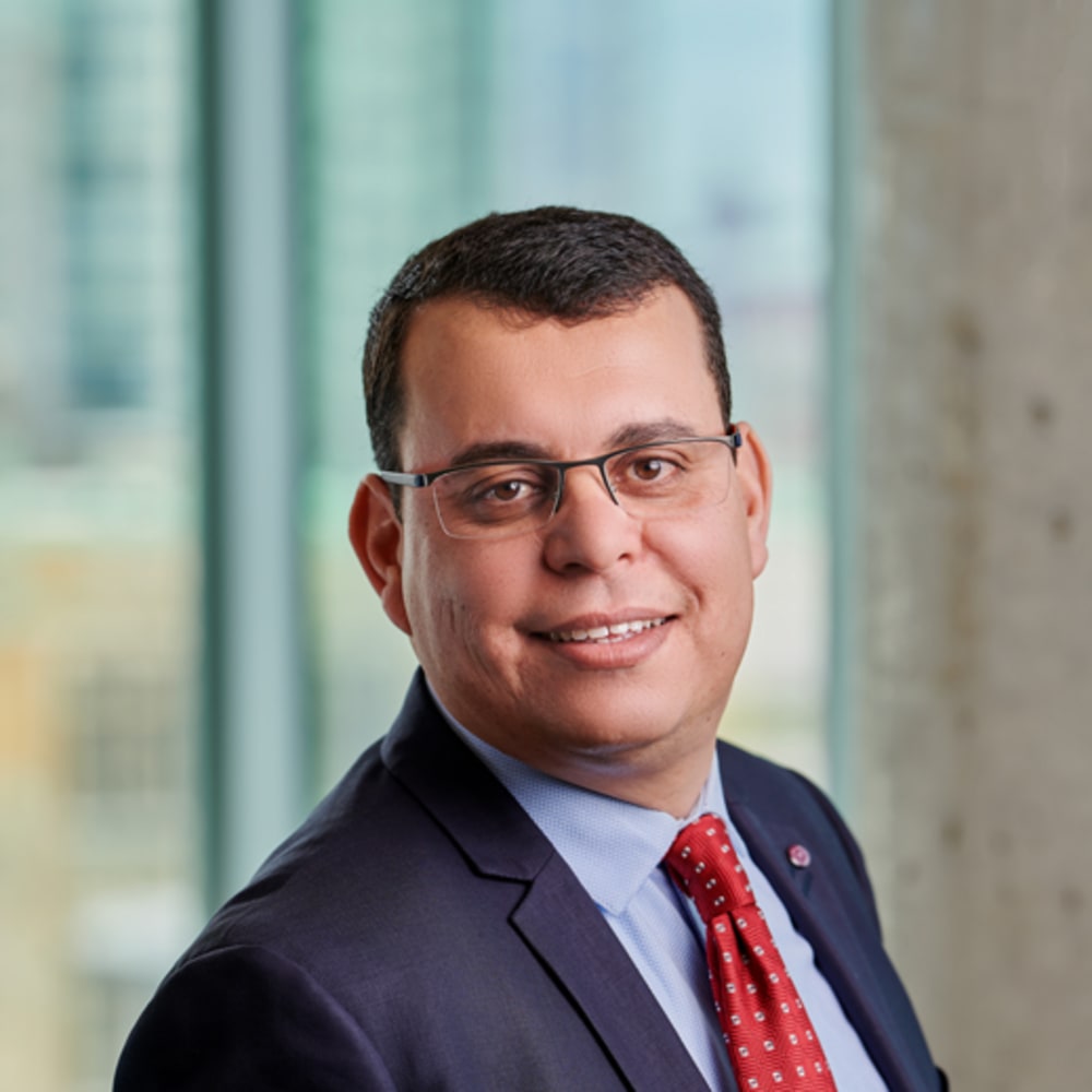 Professor Wadid Lamine