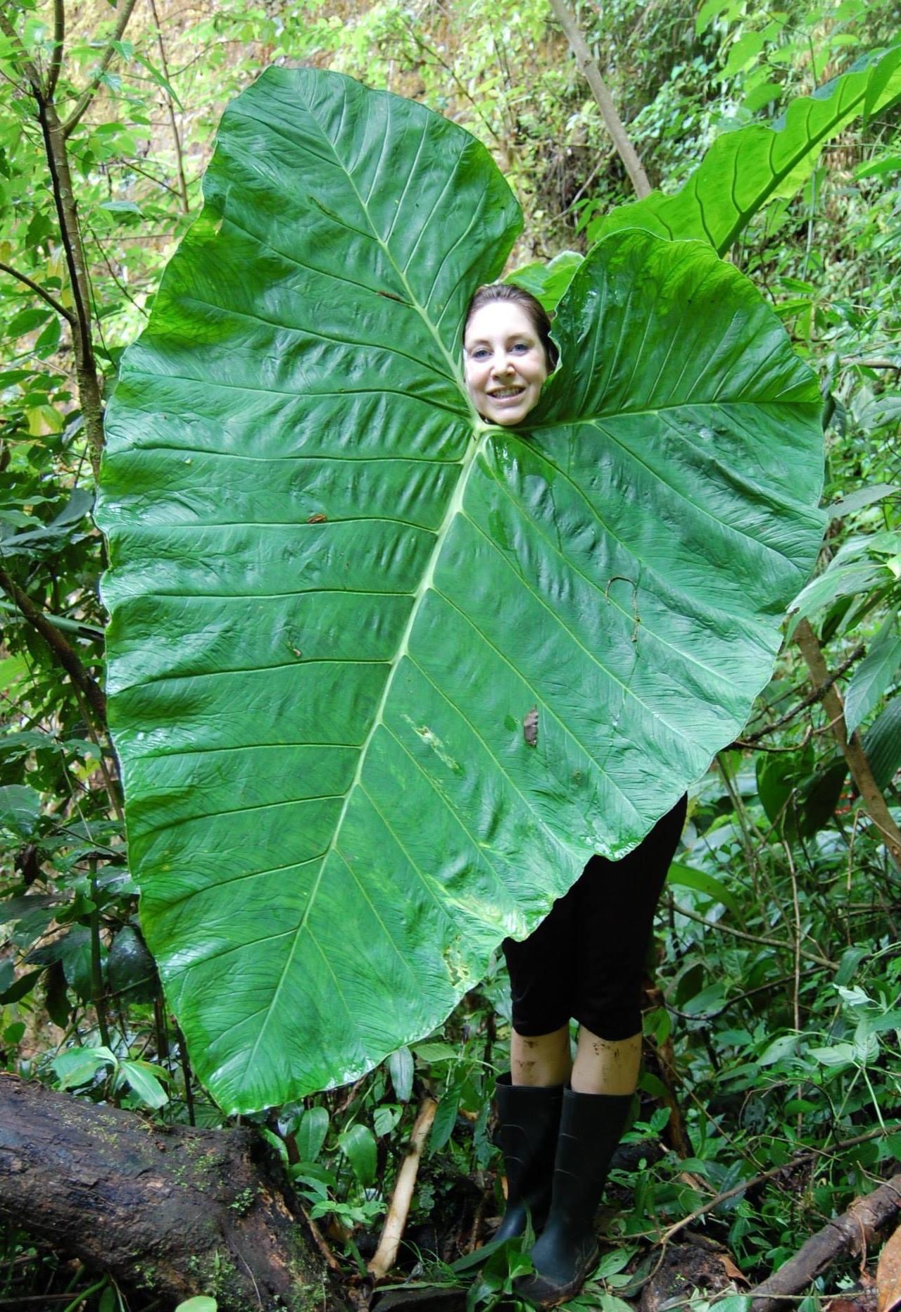 Katherine Arblaster next to a big green leaf in Nicaragua