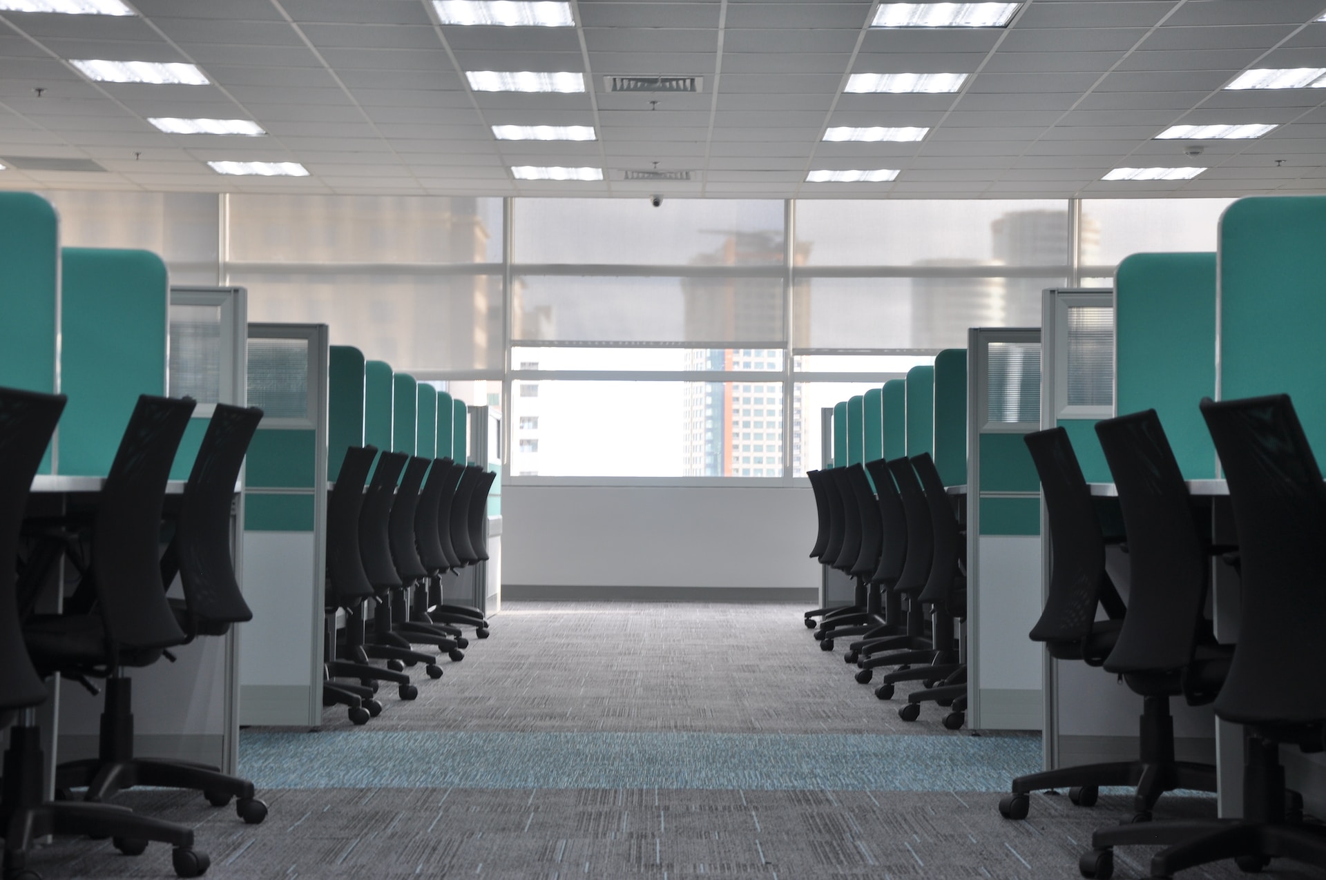 Rows of empty chairs at cubicles