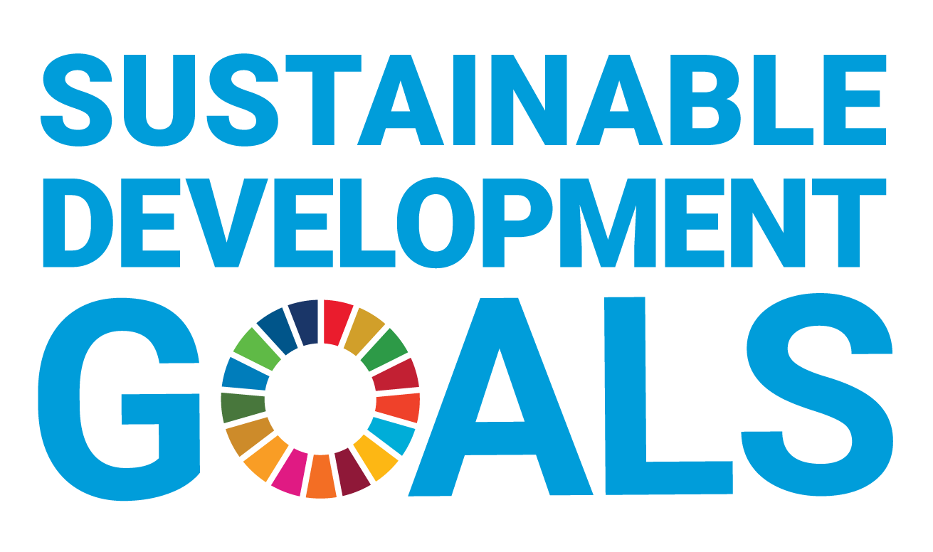 Text: Sustainable Development Goals