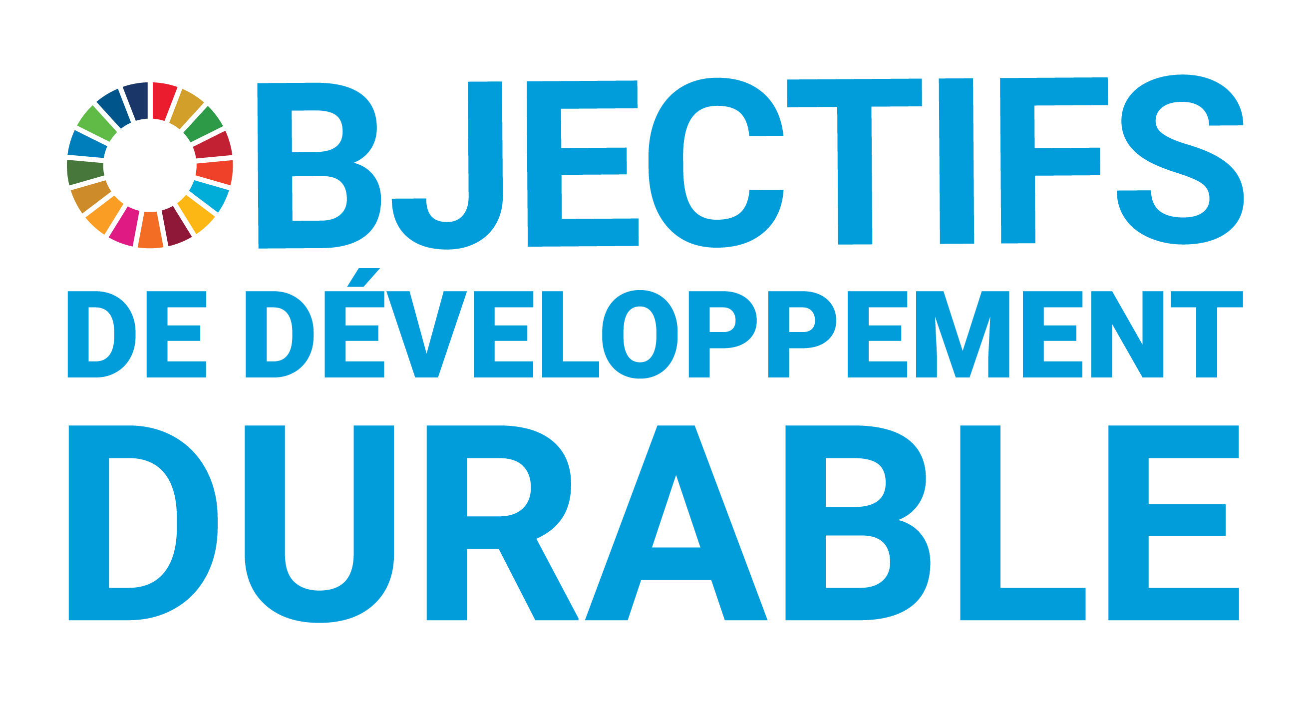 Texte : Objectifs de développement durable