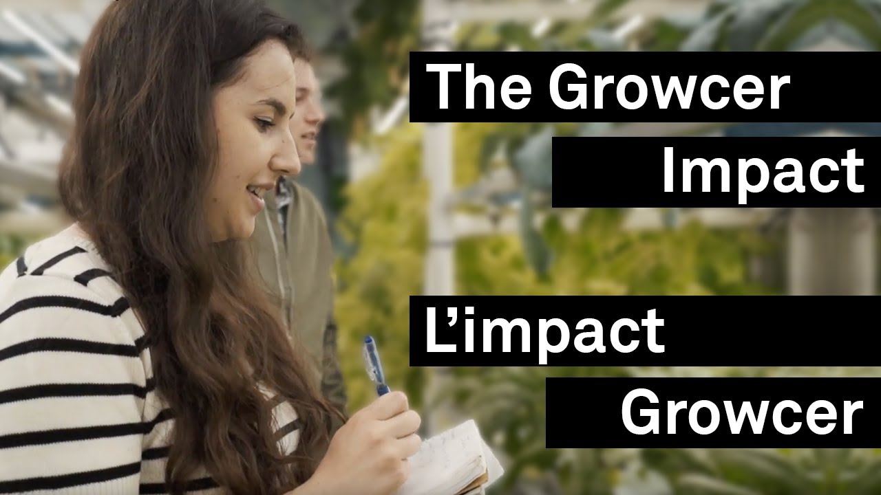 The Growcer Impact: Telfer Alumni Develop Solution for Food Insecurity